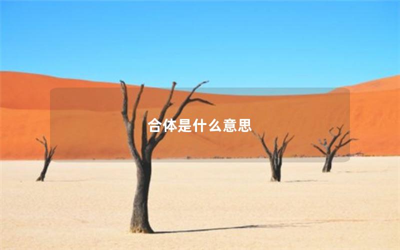 合体是什么意思