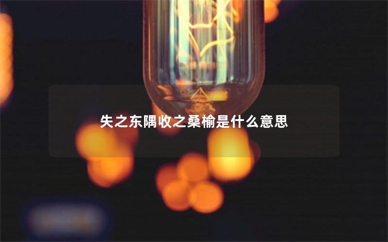 失之东隅收之桑榆是什么意思