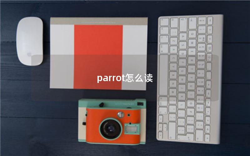 parrot怎么读