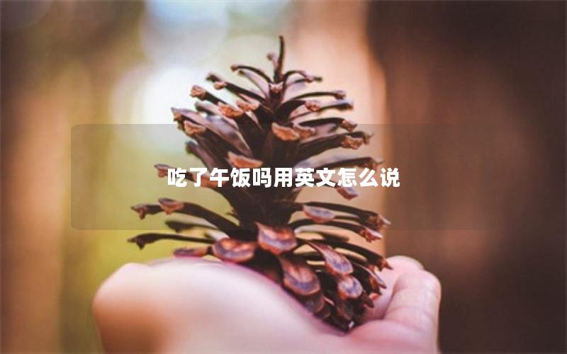 吃了午饭吗用英文怎么说