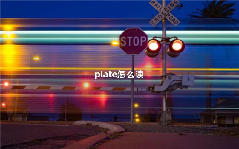 plate怎么读