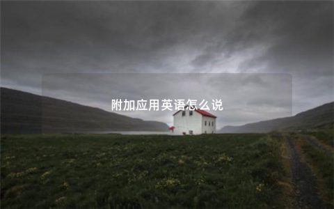 附加应用英语怎么说