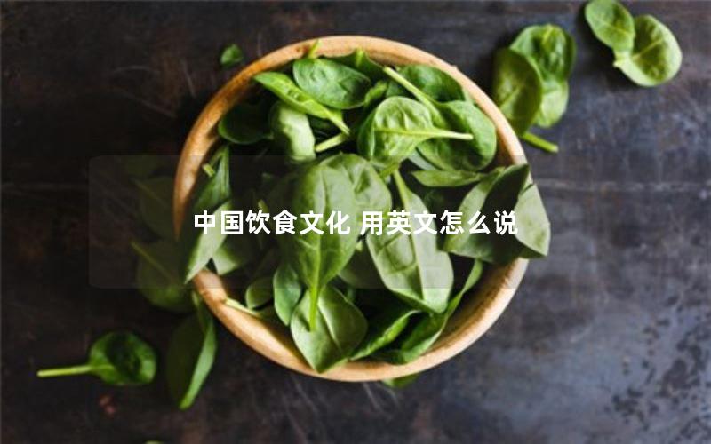 中国饮食文化 用英文怎么说