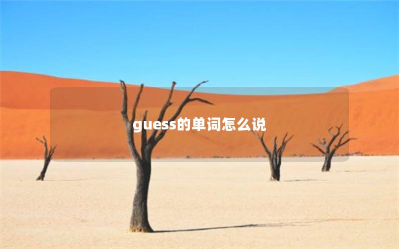 guess的单词怎么说