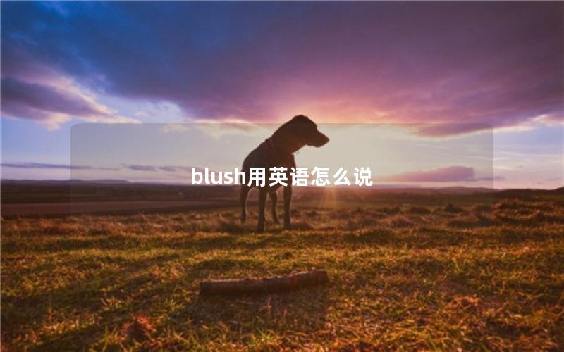 blush用英语怎么说