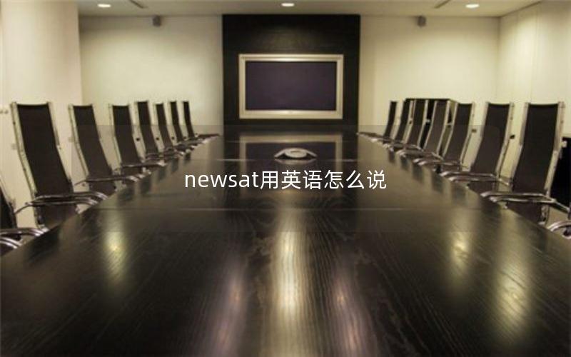 newsat用英语怎么说