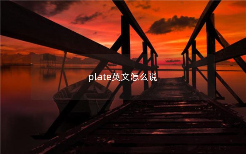 plate英文怎么说