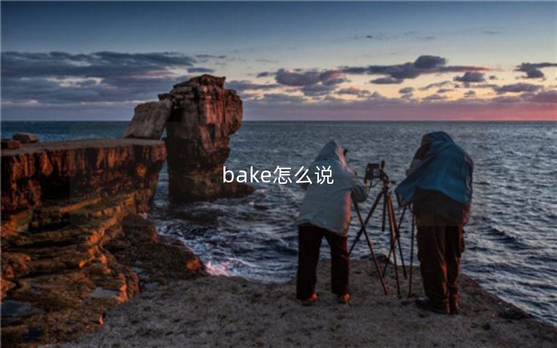 bake怎么说