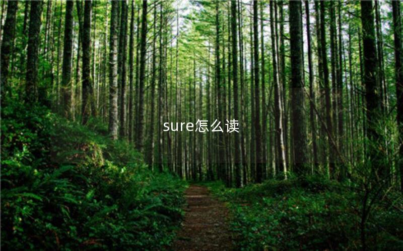 sure怎么读