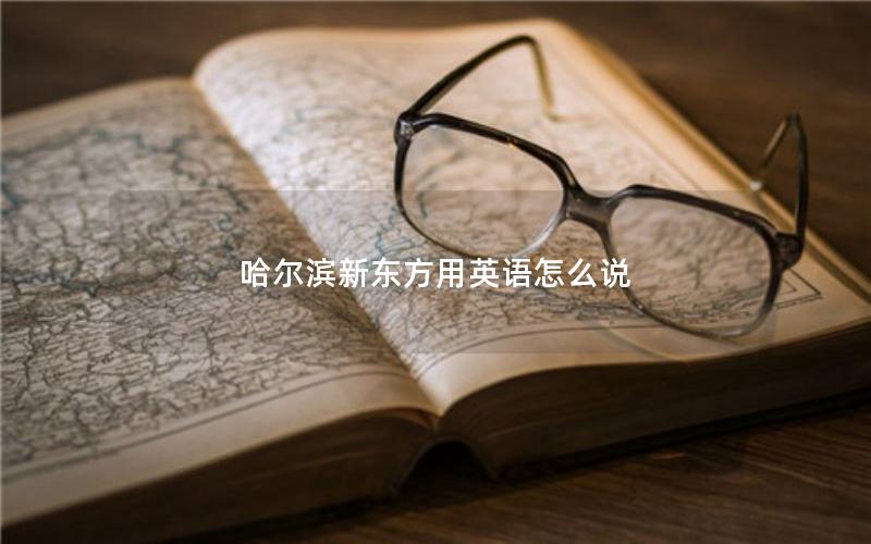 哈尔滨新东方用英语怎么说