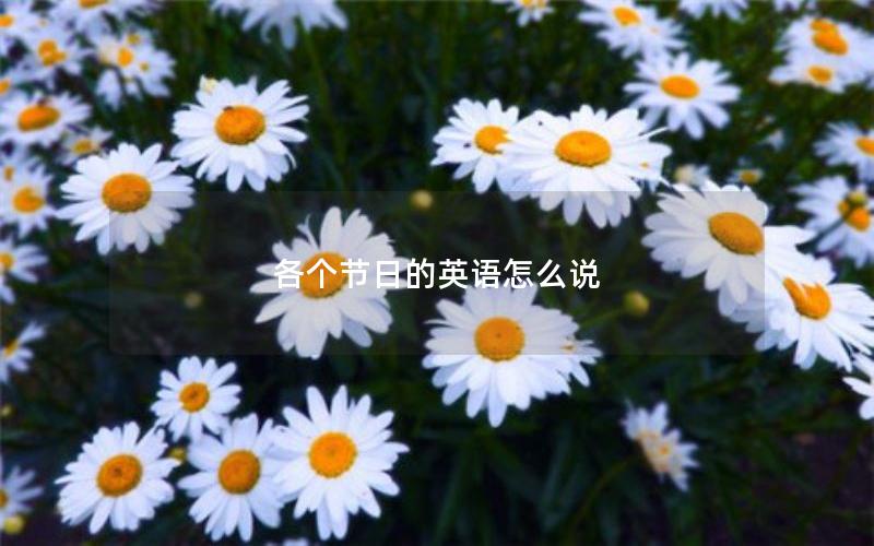 各个节日的英语怎么说