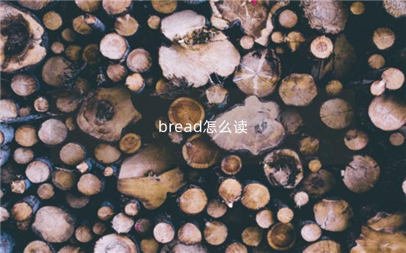 bread怎么读