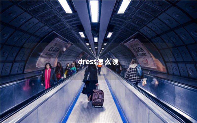 dress怎么读