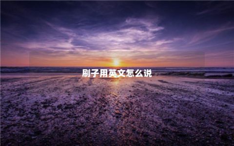 刷子用英文怎么说