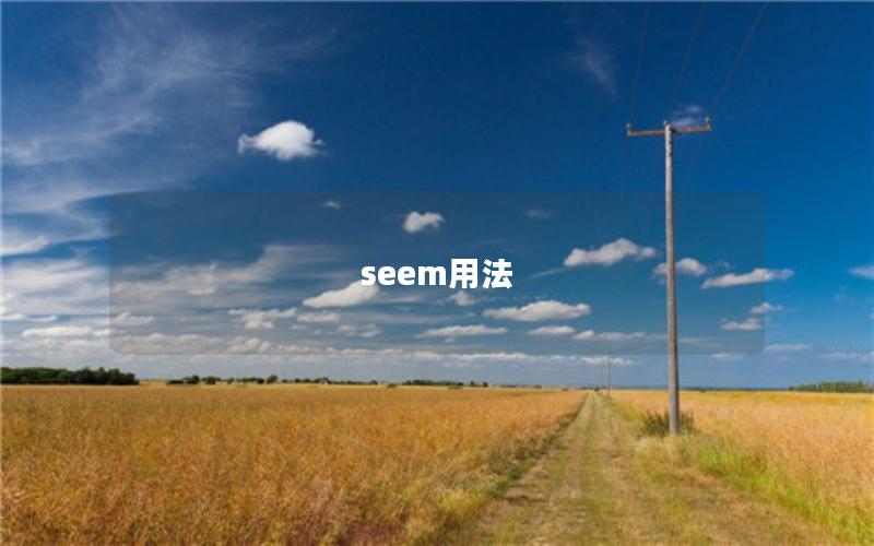 seem用法