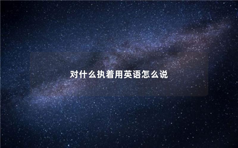 对什么执着用英语怎么说