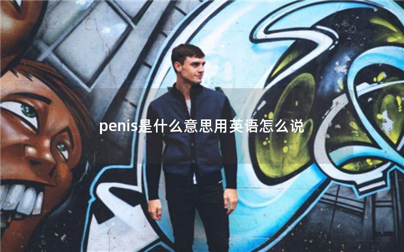 penis是什么意思用英语怎么说