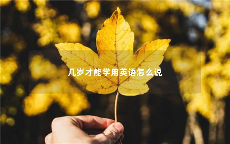 几岁才能学用英语怎么说