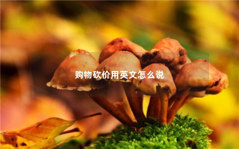 购物砍价用英文怎么说