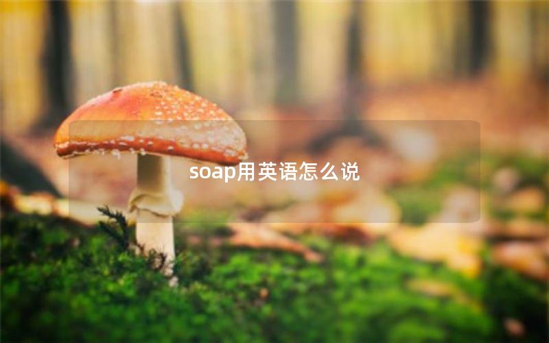 soap用英语怎么说