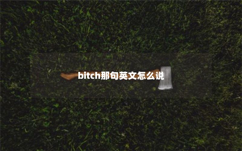 bitch那句英文怎么说