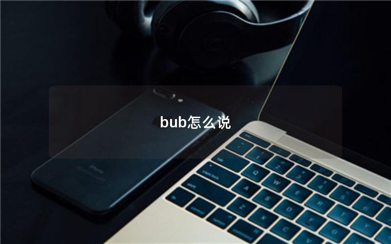 bub怎么说