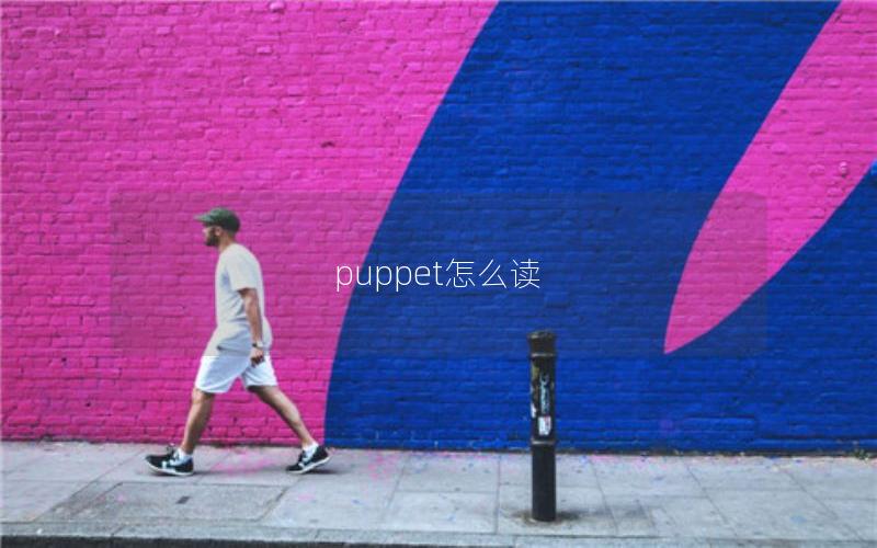 puppet怎么读