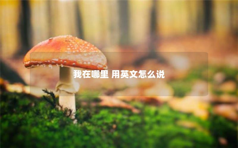 我在哪里 用英文怎么说