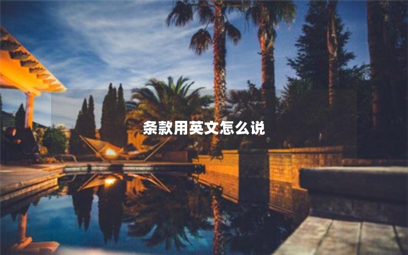 条款用英文怎么说