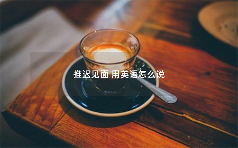 推迟见面 用英语怎么说