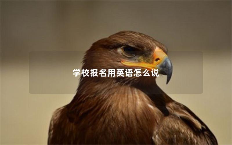 学校报名用英语怎么说