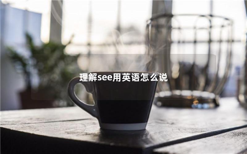 理解see用英语怎么说