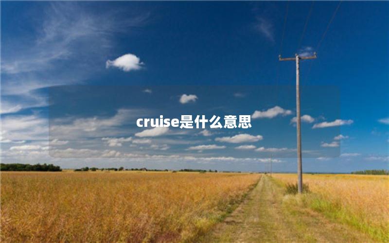 cruise是什么意思