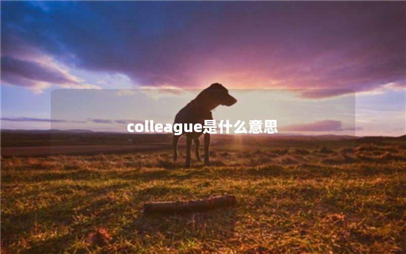 colleague是什么意思