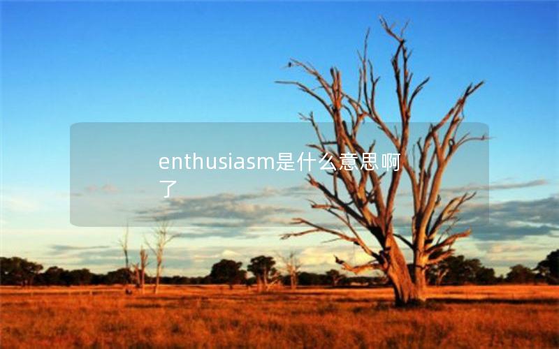 enthusiasm是什么意思啊了