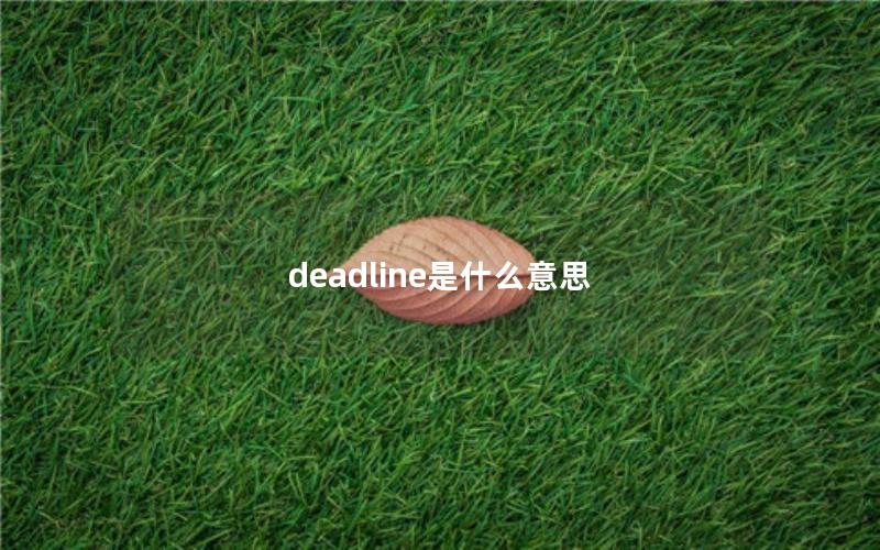 deadline是什么意思