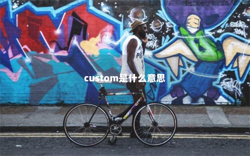 custom是什么意思