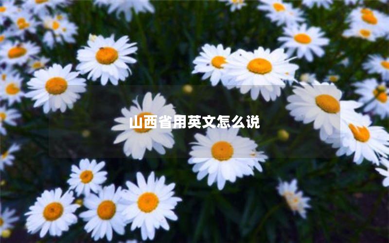 山西省用英文怎么说