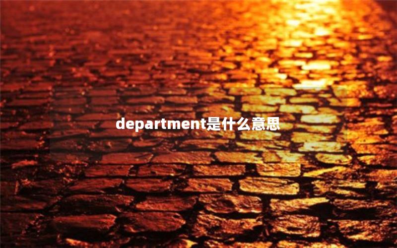 department是什么意思