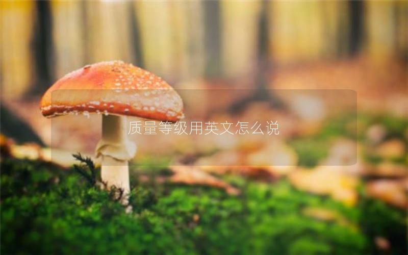 质量等级用英文怎么说