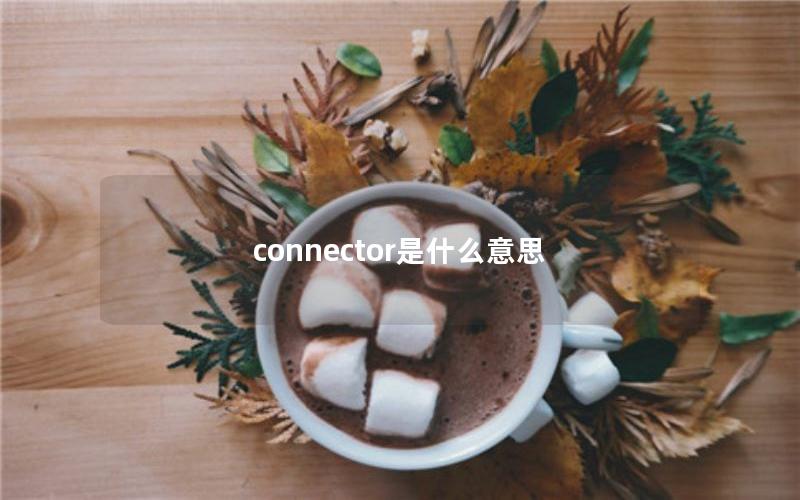 connector是什么意思