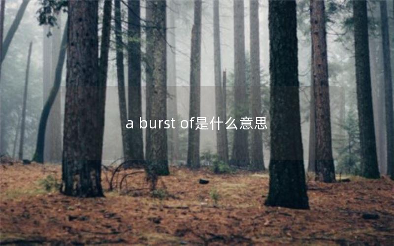 a burst of是什么意思