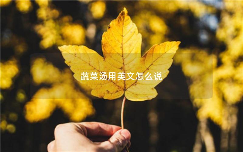 蔬菜汤用英文怎么说