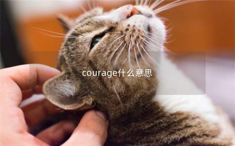 courage什么意思