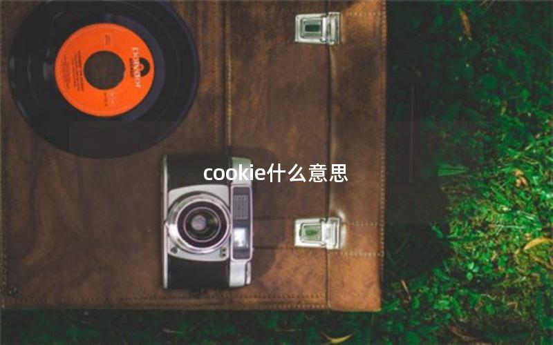 cookie什么意思