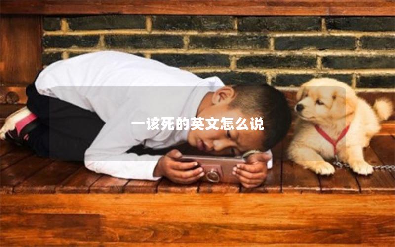 一该死的英文怎么说