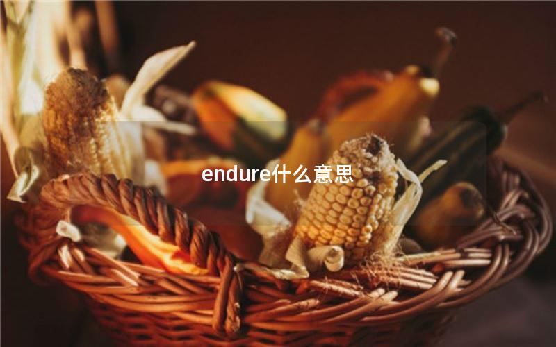 endure什么意思