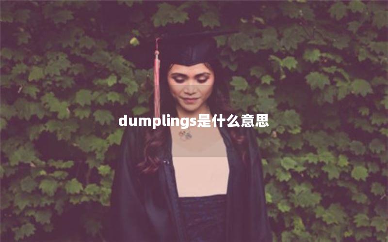 dumplings是什么意思