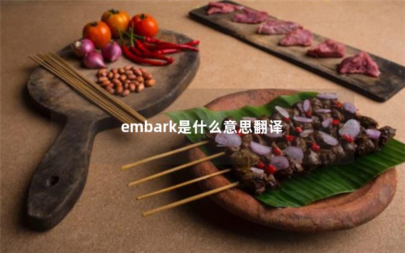 embark是什么意思翻译