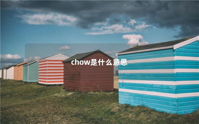 chow是什么意思